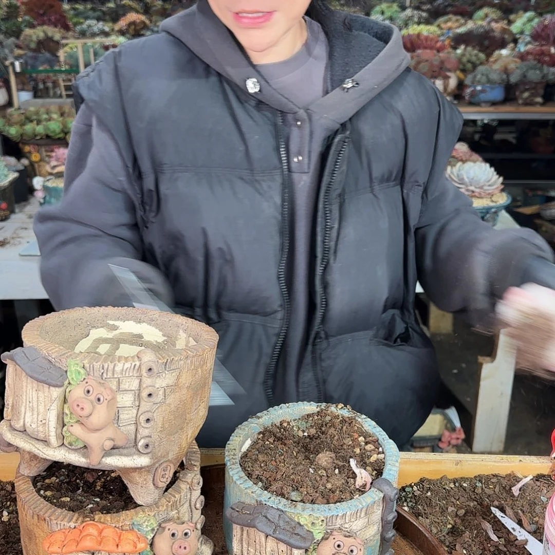 梅****h梅兰竹菊，盆3个234         盆