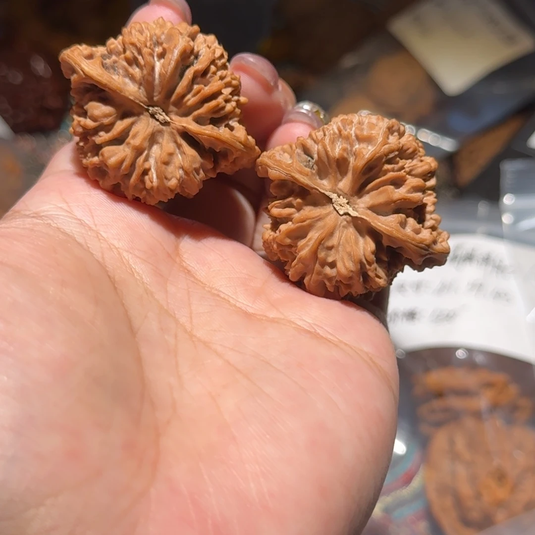 把件核桃1077号满天星狮子头