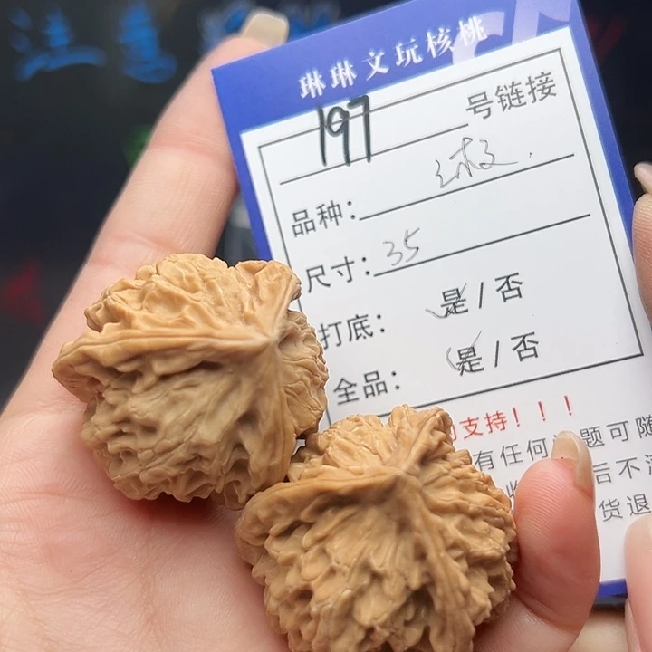 文玩核桃吊坠核桃树等197