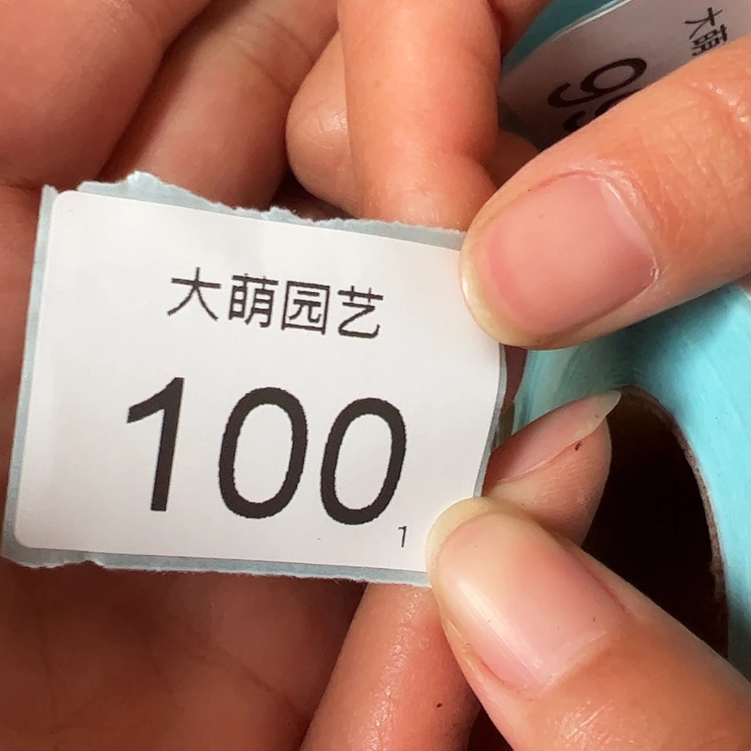 0000100量拍荒玉混合10颗