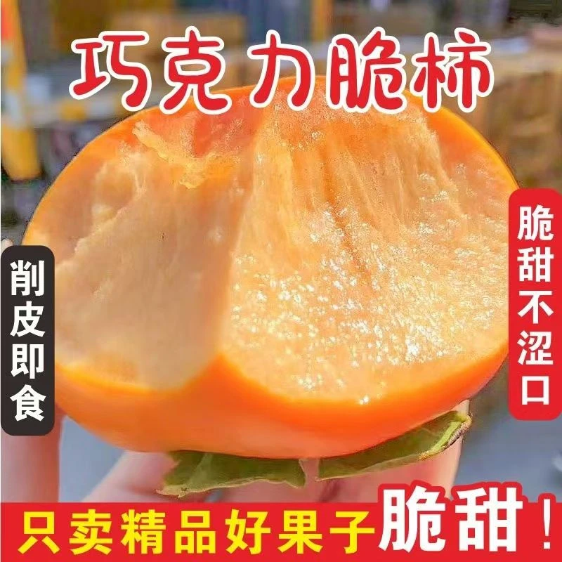 a新鲜应季巧克力脆甜柿子带皮吃不涩口冰糖心水果