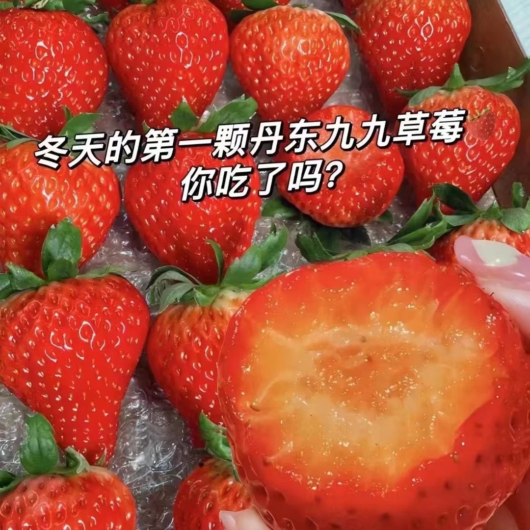 丹东草莓一盒