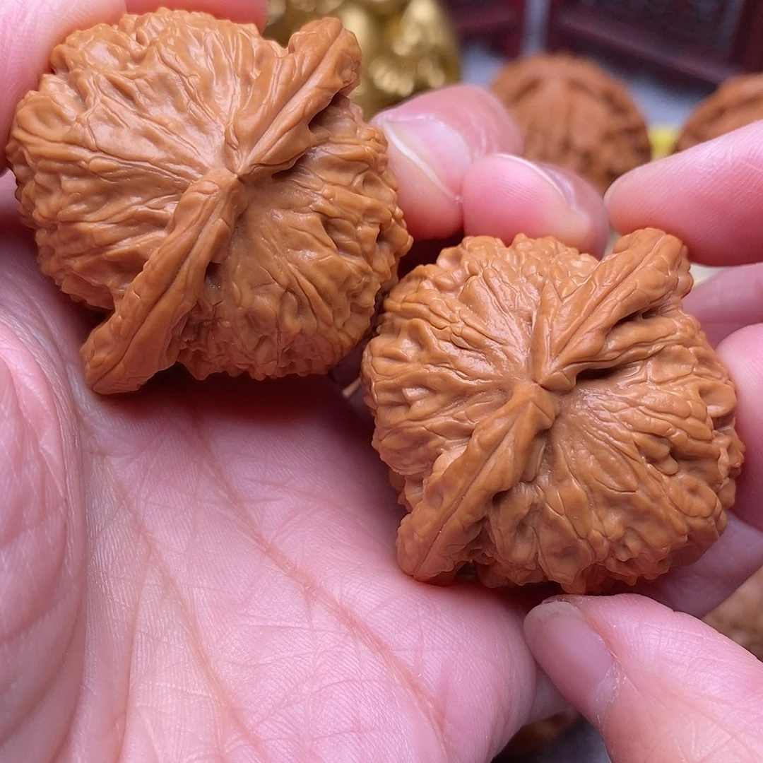 文玩核桃把件全品毕业白狮子44尺