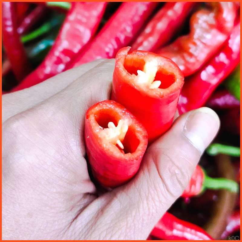 中辣螺丝线椒辣椒新鲜薄皮微辣泡椒香辣红辣椒农家辣椒酱红线椒