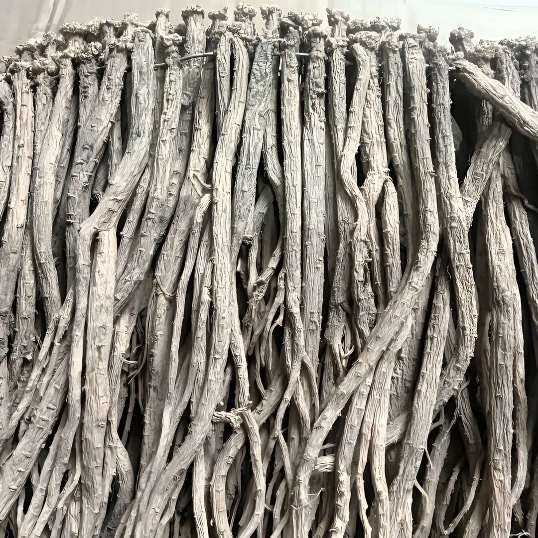 甘肃产地渭源直发无硫熏(中条)党参可煲汤泡水滋补干货