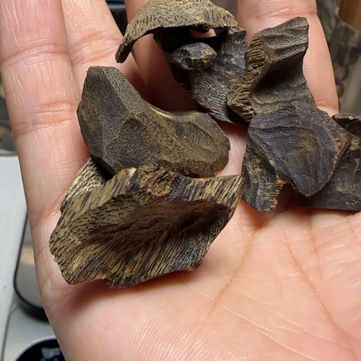 木海***手奇楠壳仔料10克