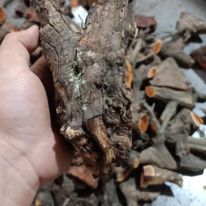 阳***林大果紫檀（缅甸花梨）