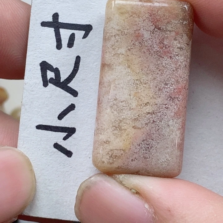 颈饰未镶嵌硅化珊瑚（珊瑚玉）