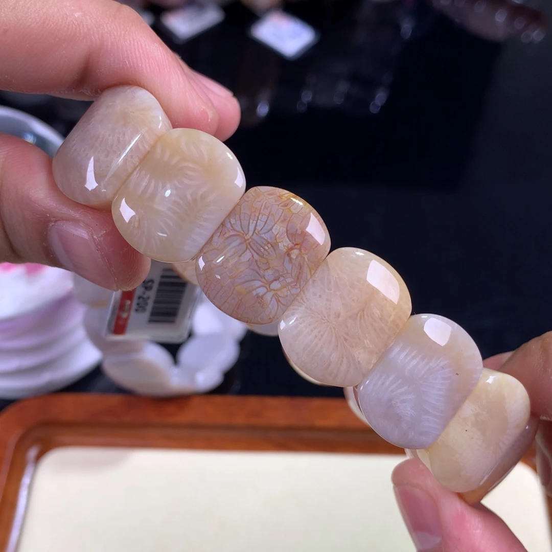 硅化珊瑚（珊瑚玉）未镶嵌吊坠(赠链)21号奶调凤尾