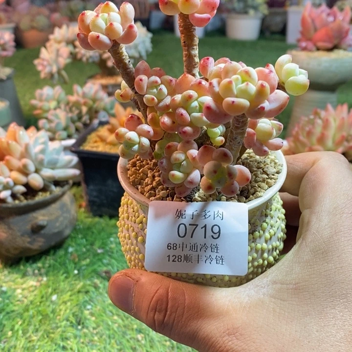 0719啊啊啊啊啊啊啊啊啊啊啊