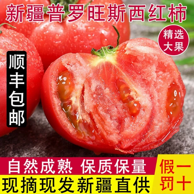 新疆普罗旺斯西红柿沙瓤爆汁自然熟高糖芯生吃番茄天花板酸甜爆汁