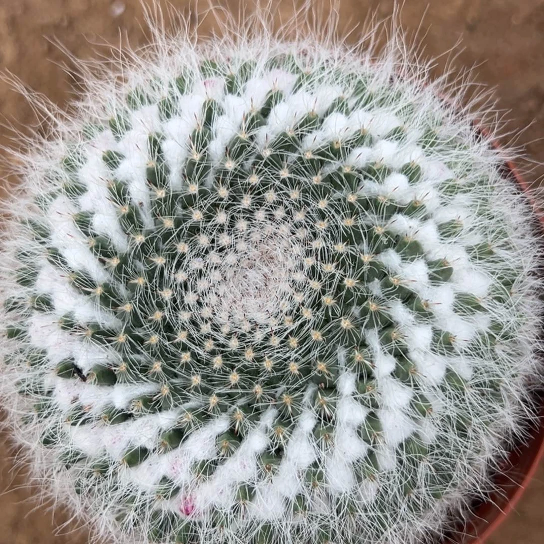 @***秋零零落落 零零落落