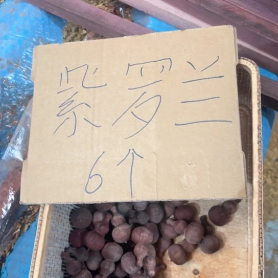 非洲紫檀（红花梨）