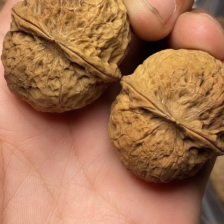 文玩核桃把件志成云铁文玩33
