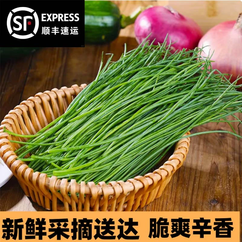 沙葱5斤顺丰包邮美味脆爽营养丰富直达菜类新鲜蔬菜