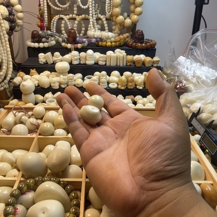 源*光象牙果雕刻鲨鱼背面包圈