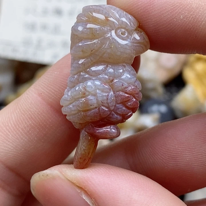 颈饰未镶嵌硅化珊瑚（珊瑚玉）