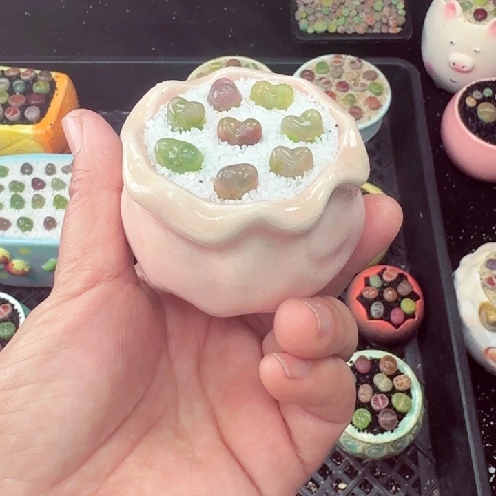 656零下地区记得拍保温小箱满18包邮