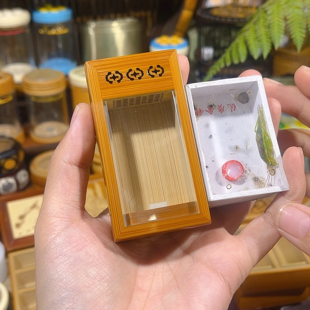 蟋蟀老竹竹蛉盒+绿金钟