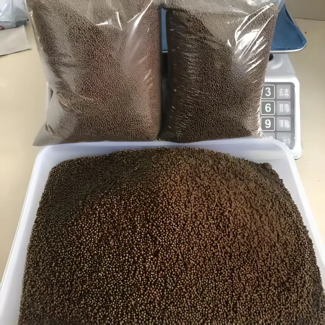 中华外塘长寿龟墨龟通用颗粒饲料