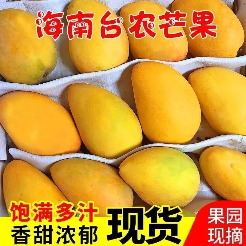 海南小台农芒果微花皮新鲜现摘应当季热带水果小台鸡蛋芒特产薄皮