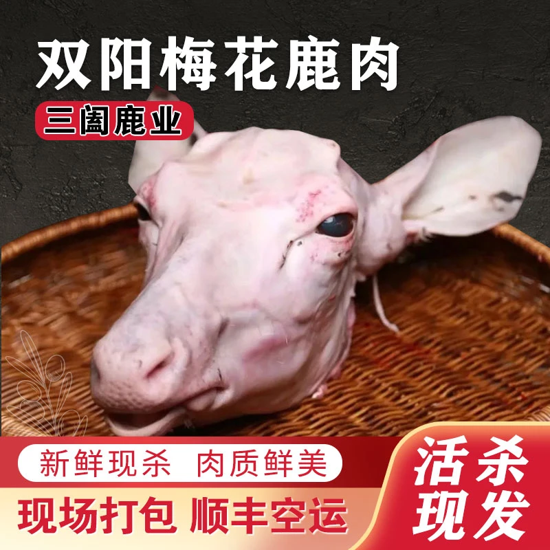 现场称重【鹿头】梅花鹿肉 一称一拍 当天屠宰 现场分割 吉林鹿乡