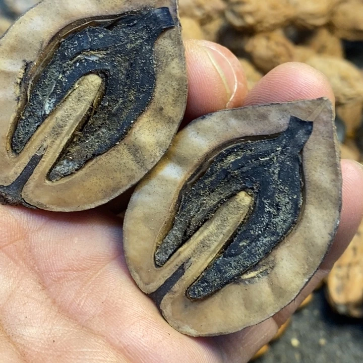 吊坠桃核娜姐真的191