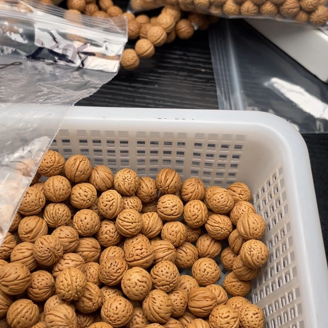 【闪购商品】老****舍散子批发88米