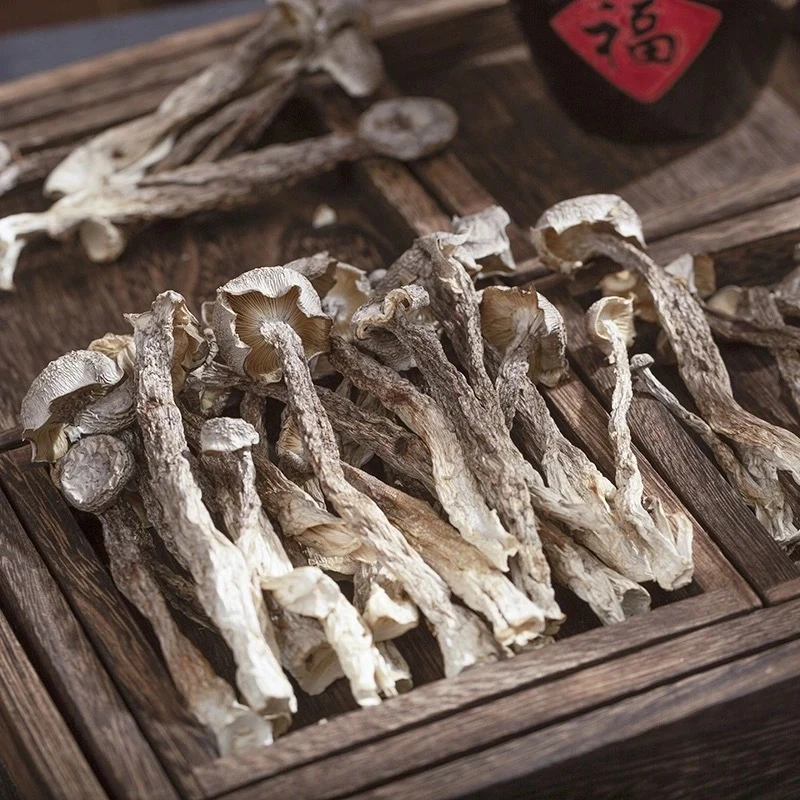 云南高山特产 鹿茸菇  农家采摘晾晒干货