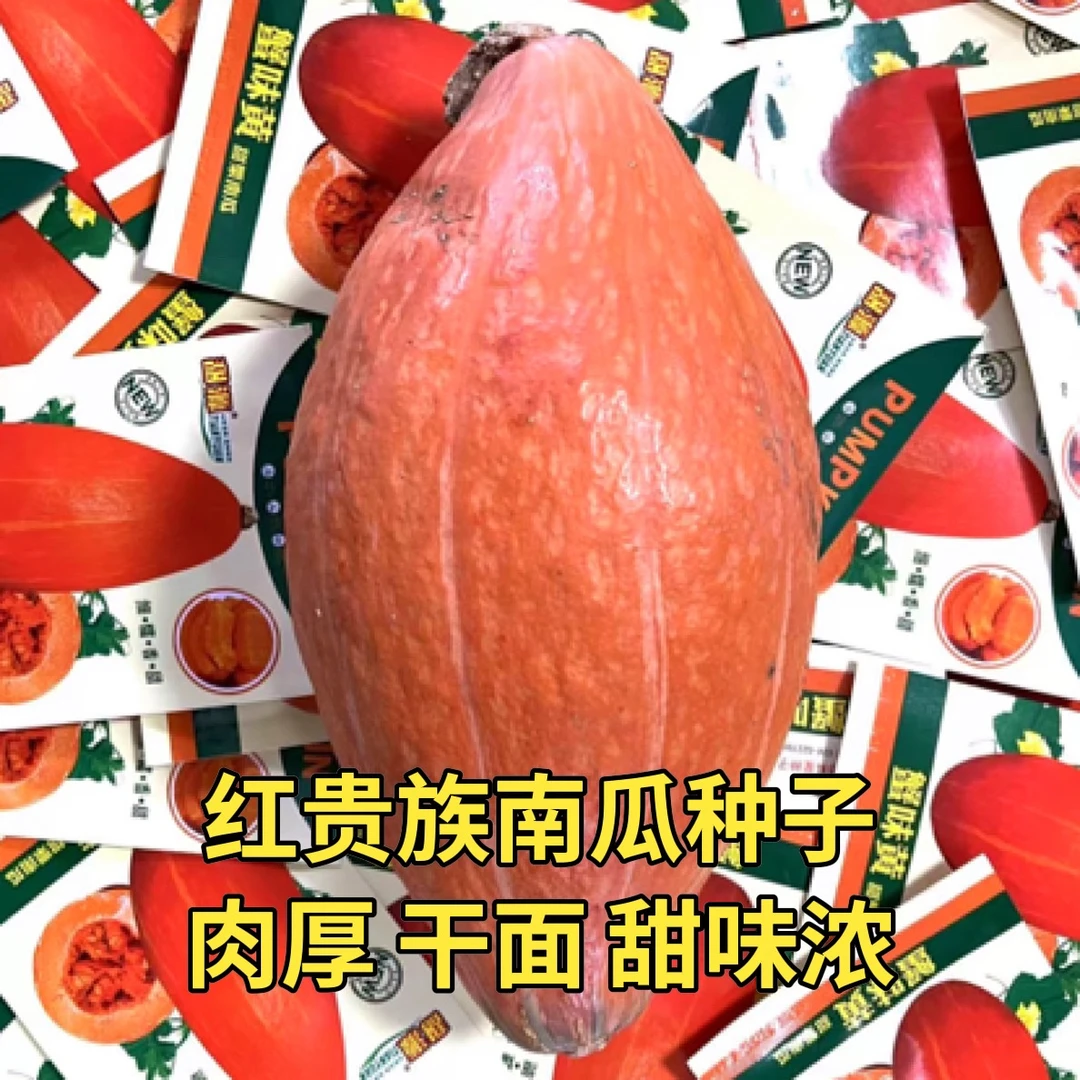 蟹味黄甜栗南瓜种子10粒