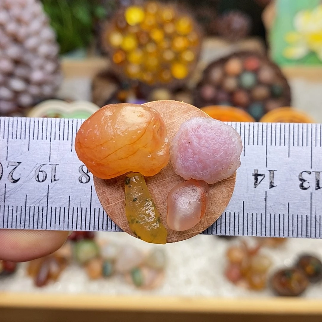 木石院子的冰箱贴29
