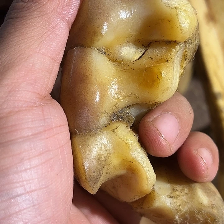 崽*ZXhu膝盖骨膝盖骨膝盖骨