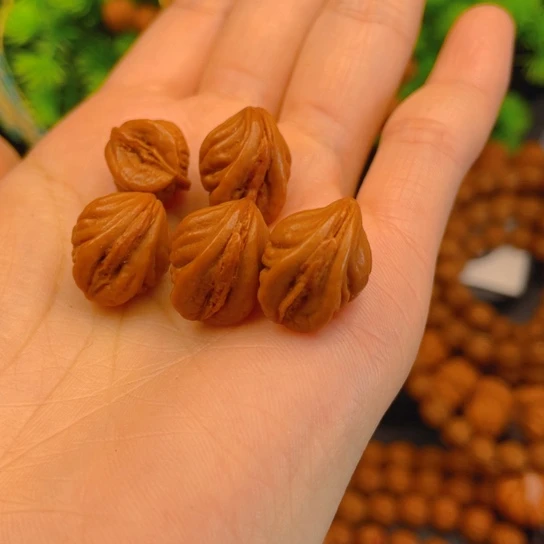 逛***吃菩提籽类生命散籽