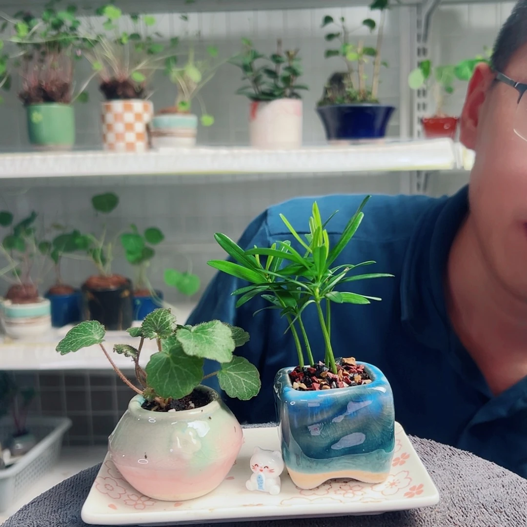 法***福无花朵27