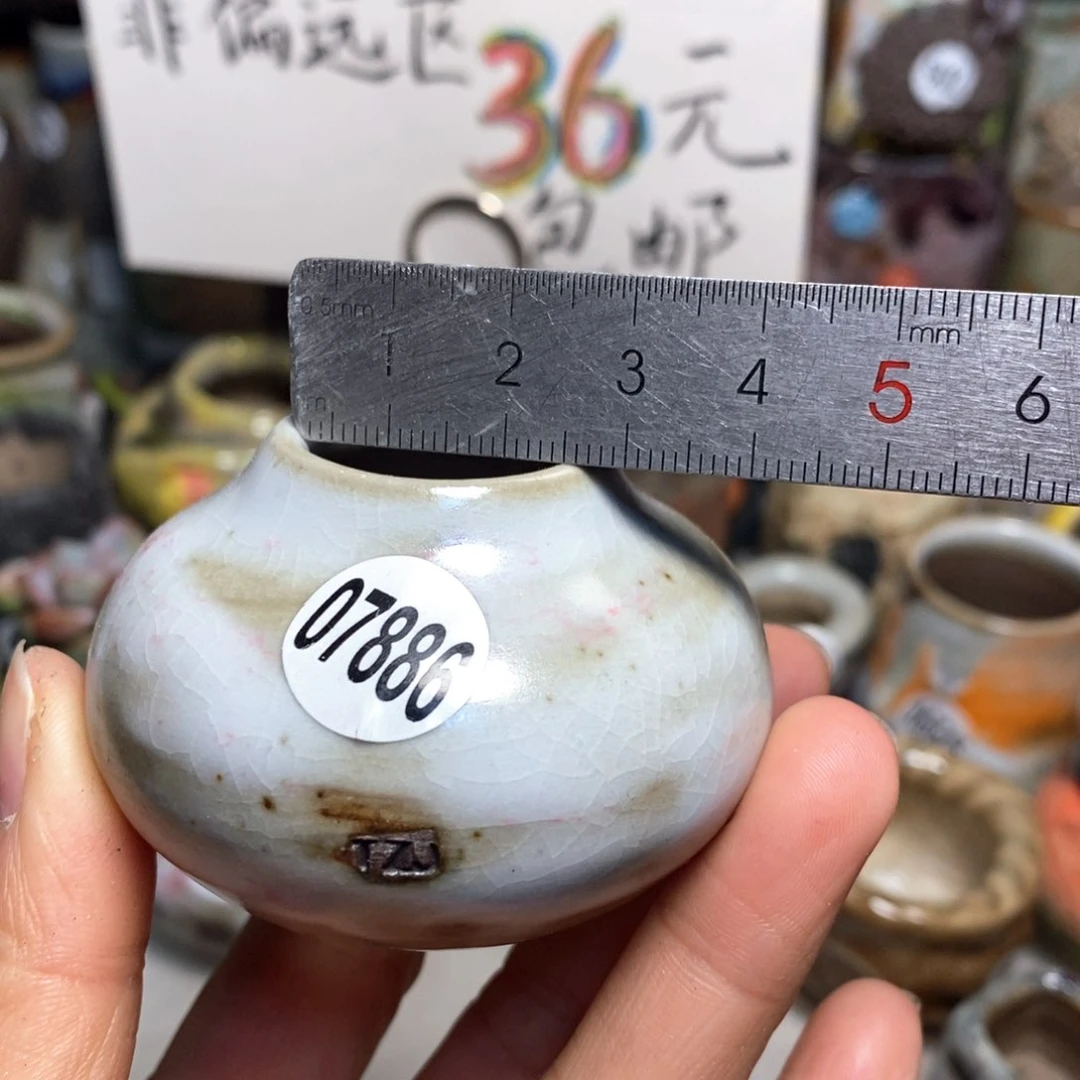 花盆拍5送一个小礼物