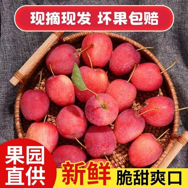 【中大果】东北鸡心果产地直发新鲜采摘