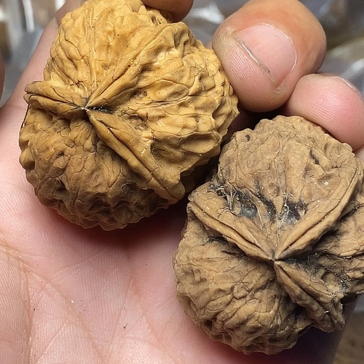 文玩核桃把件云南铁核桃A98