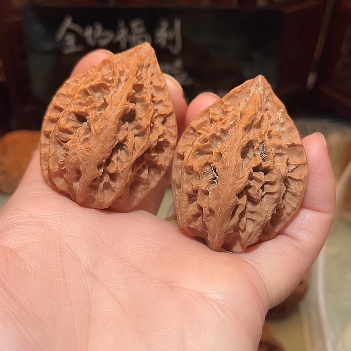 40野生龙脊……精品