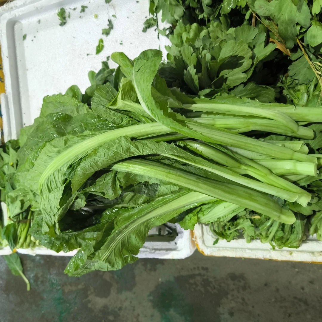 青菜/青菜苔约1斤（要青菜还是青菜苔拍下备注）