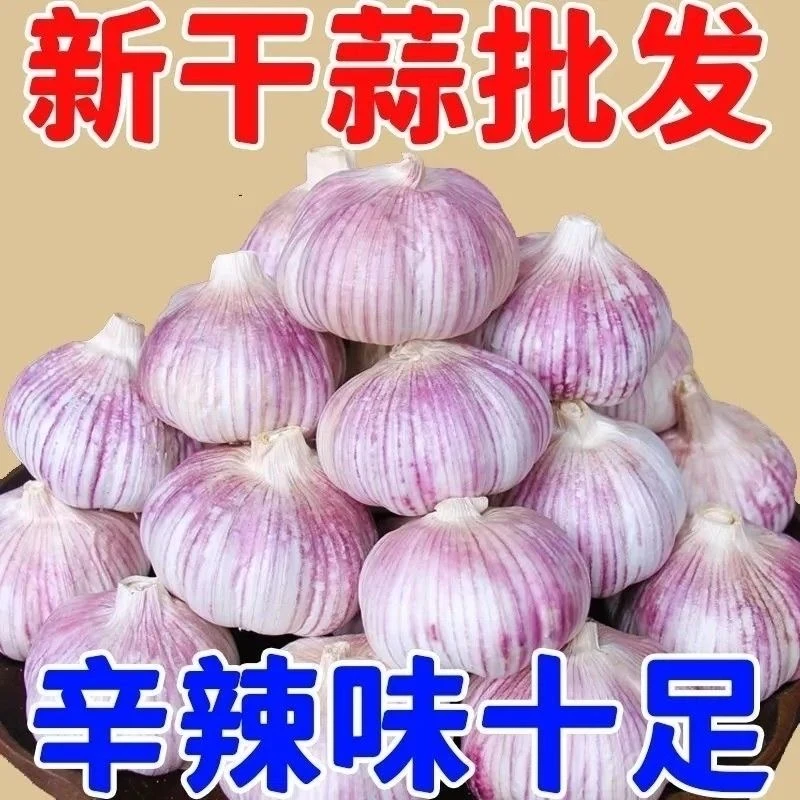 【产地直发】大蒜新干蒜大蒜大蒜头批发5斤大蒜头紫白皮
