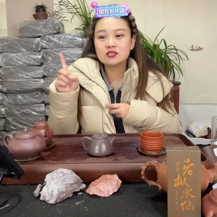 茶壶紫砂宜兴紫砂