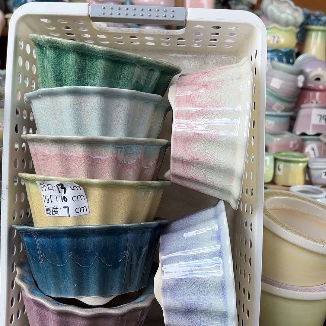 量货/口10高7深浅搭配发4