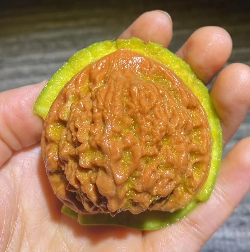 点关注加灯牌参与抽奖一对文玩核桃
