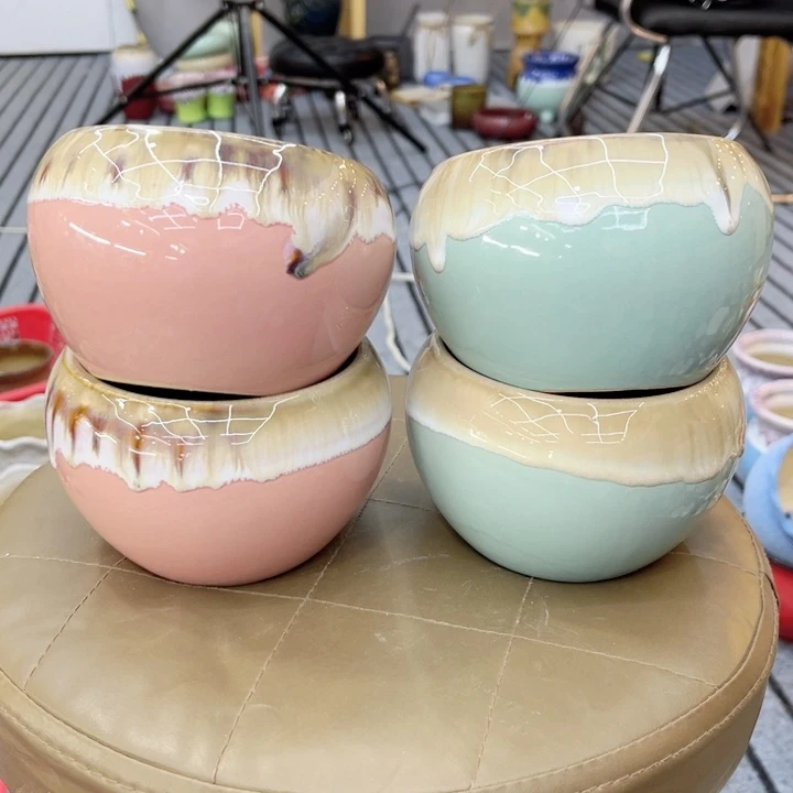 多肉植物花盆9.99包邮