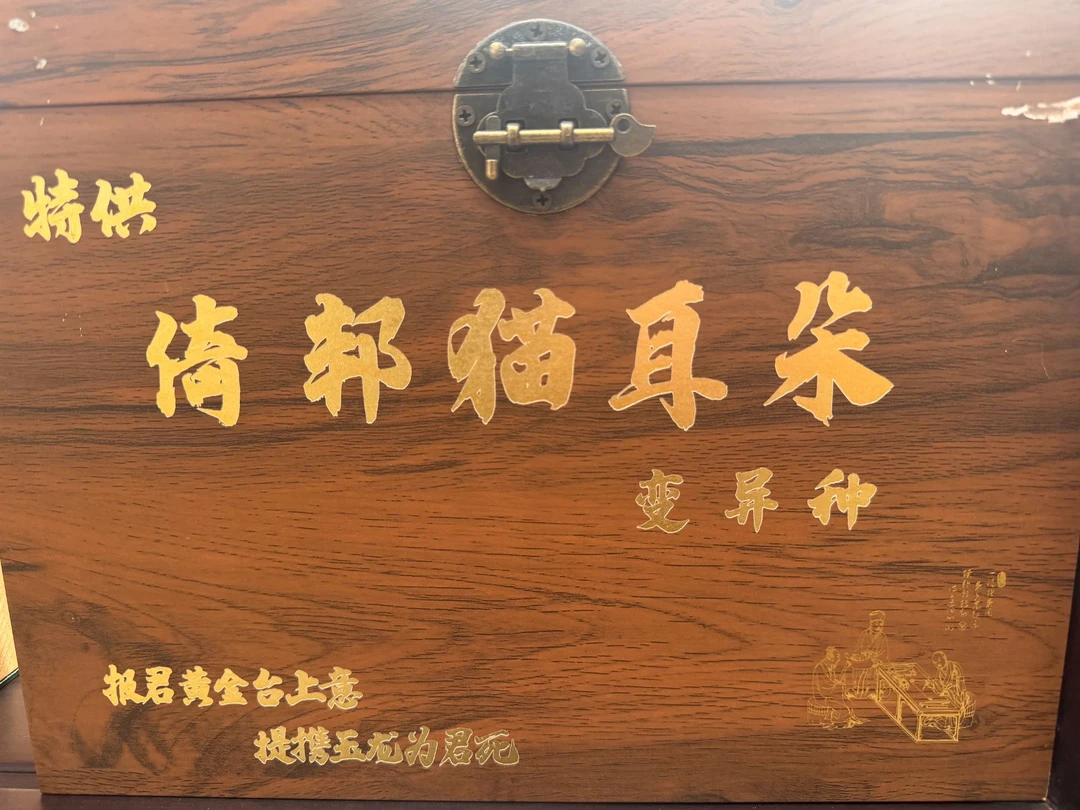 12月6日  100克  15年倚邦猫耳朵变异种   熟茶散茶  XY-003