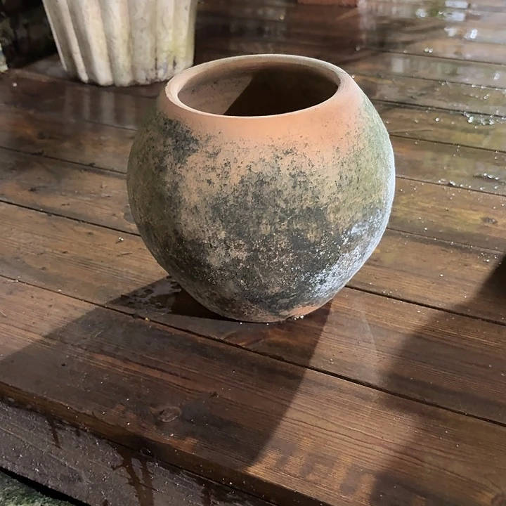 许纯的花房 孤品圆罐子