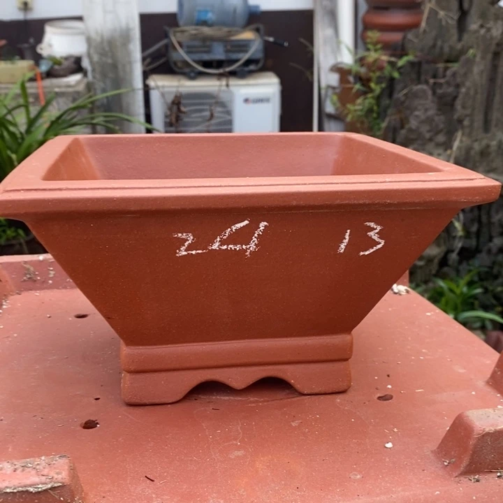 花盆紫砂有你真是