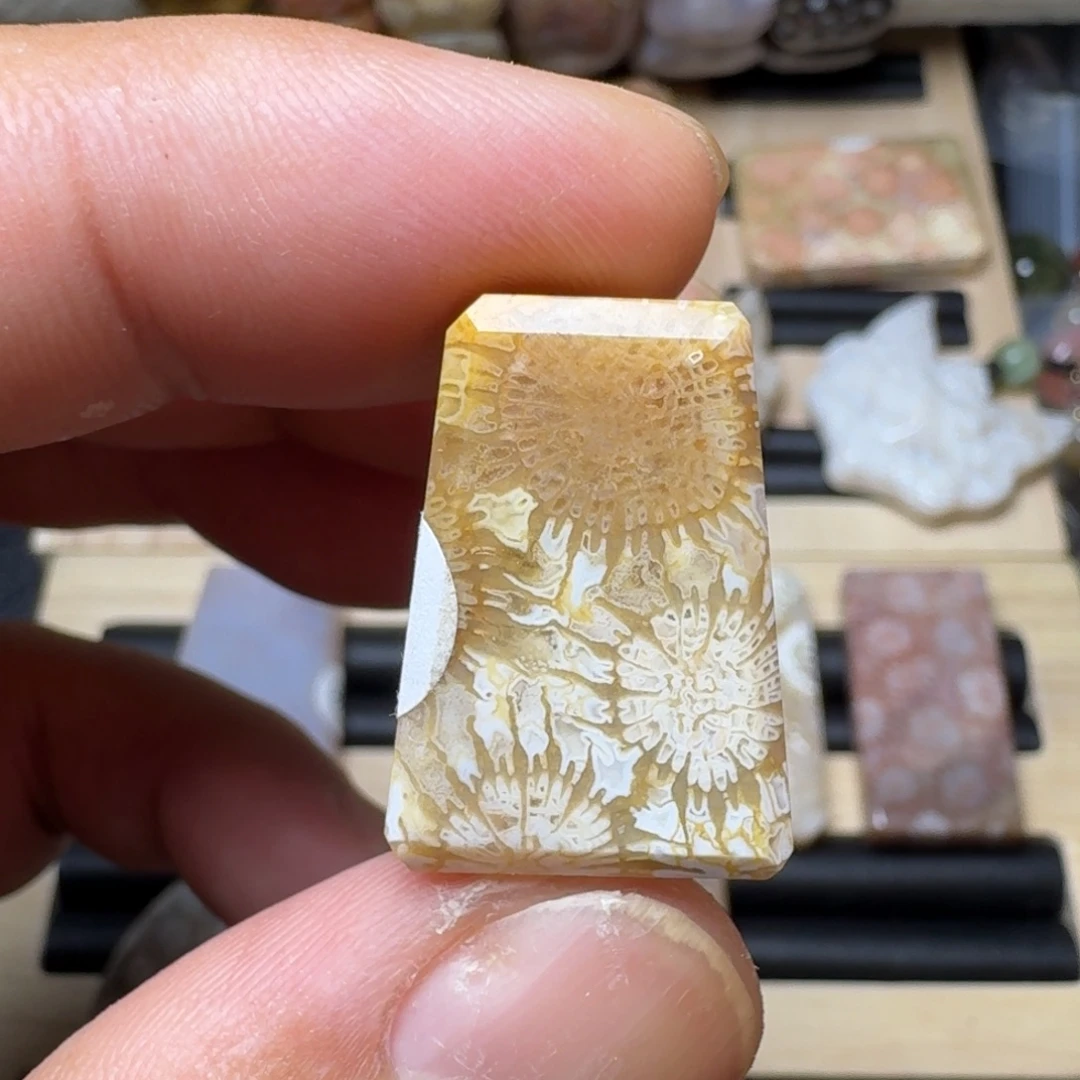 未镶嵌纯天然色有机玉石保真色硅化玉