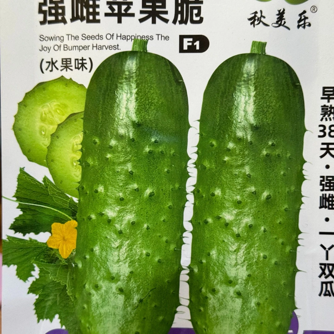 jj苹果脆水果黄瓜今年新种今年新种