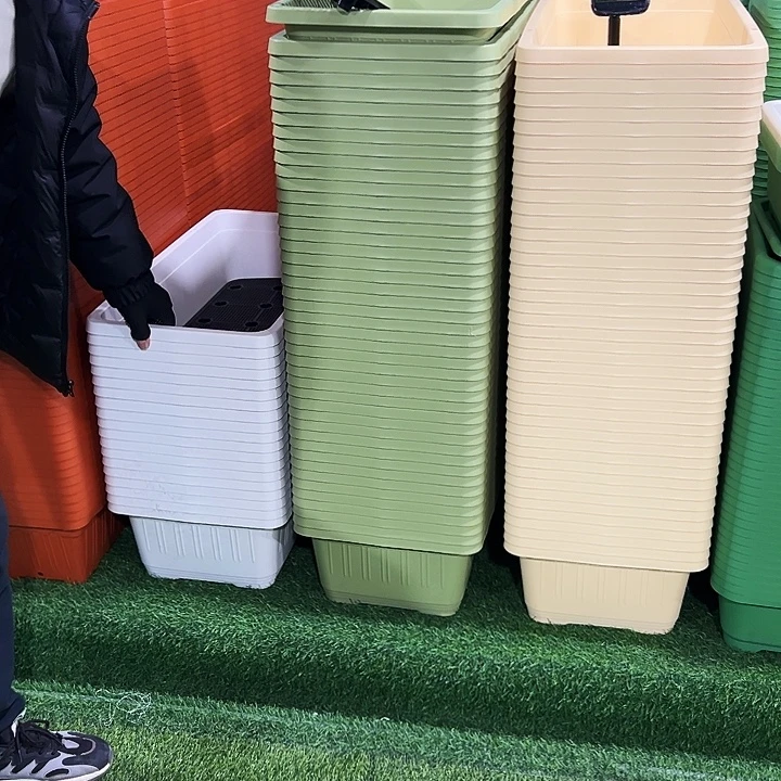 特价菜盆长68宽33高19果绿色2个